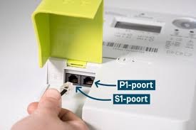 S1 en P1 poort