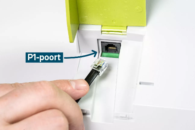 P1 poort