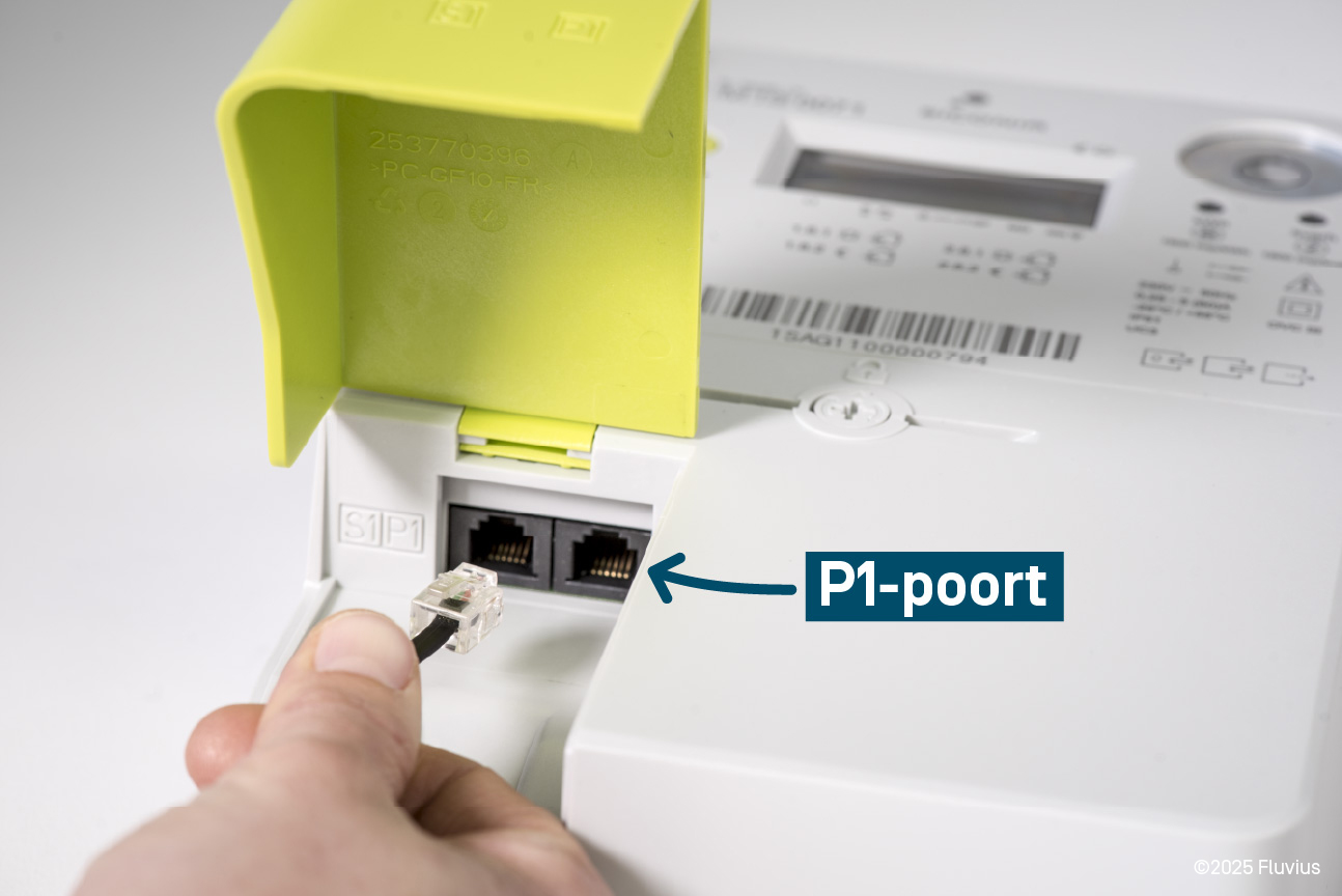 P1 Poort 